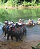 pattaya elephant riding cruise ship tour from klong toey bangkok