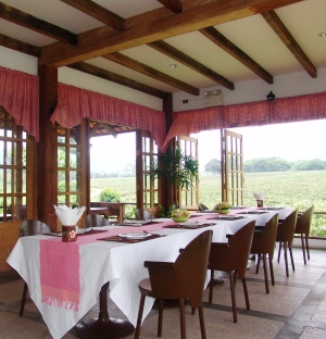 Enjoy dinner at PB Valley winery Great Hornbill with views of the wineries vineyards