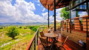 Hua Hin Hills vineyard view from the Thai wine tasting room